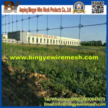 Hot Sale Wholesale Bulk Cattle Fence From Bingye